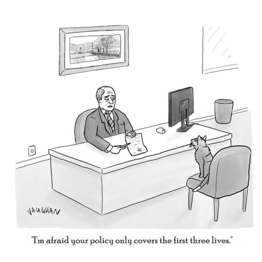The Fine Print Monster